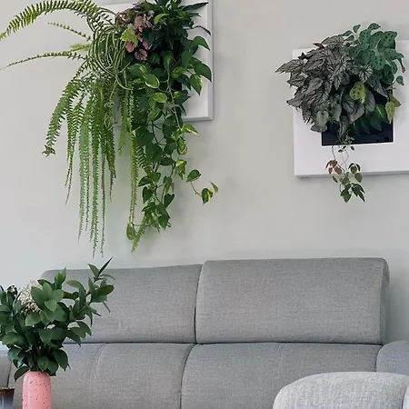 Luna House & Cowork קסקאיס