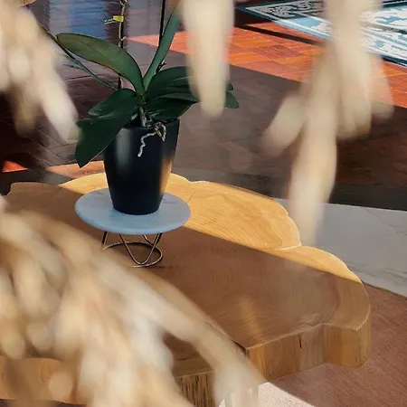 Luna House & Cowork * קסקאיס