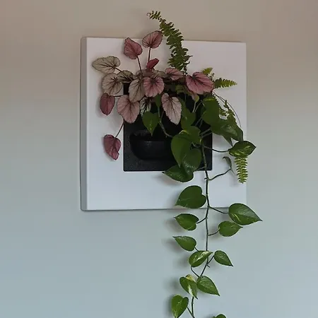 Couette-café Luna House & Cowork