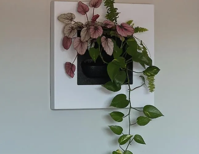 Bed & Breakfast Luna House & Cowork