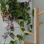 Luna House&cowork Nocleg ze śniadaniem *