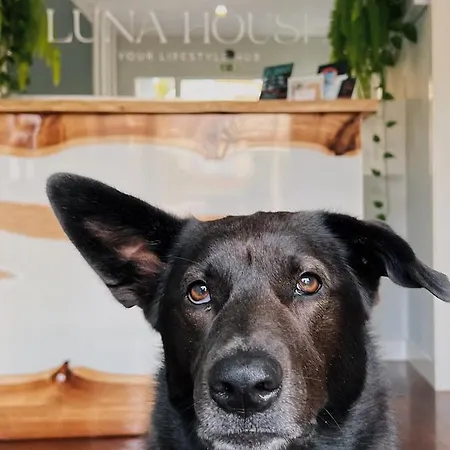 Luna House & Cowork ベッド・アンド・ブレックファスト カスカイス