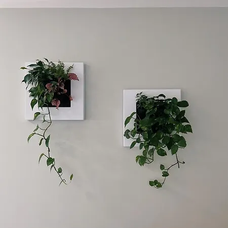 Luna House & Cowork ベッド・アンド・ブレックファスト *