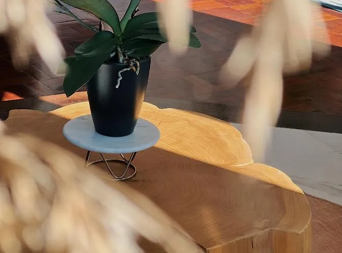 Luna House & Cowork * Кашкайш
